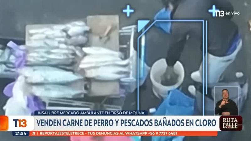 Carne de perro, aves faenadas y pescados con cloro: los insólitos hallazgos en los alrededores del Tirso de Molina