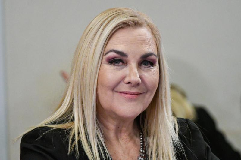 Diputada Jiles (PDG) cuestiona reforma de seguridad - Agencia Uno