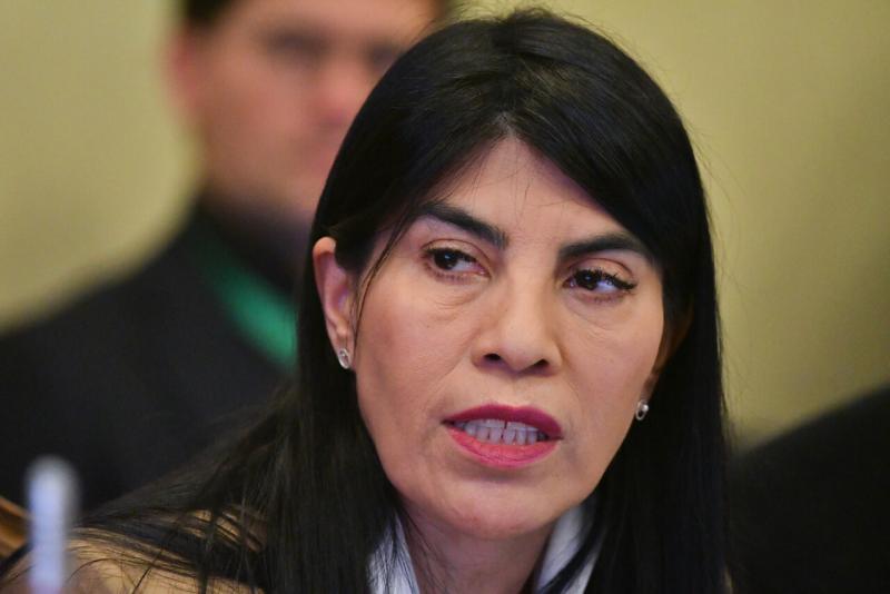Agencia Uno - Ministra de Ciencia, Ximena Lincolao