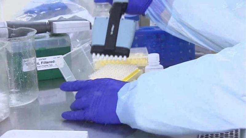 T13 - Los exámenes que probará el Minsal para detectar cáncer de manera temprana