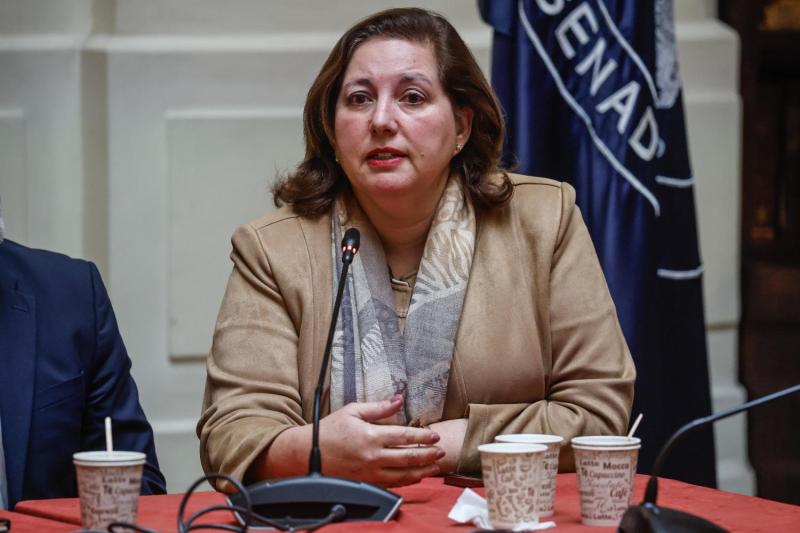 Aton- Paulina Vodanovic, senadora y timonel del PS