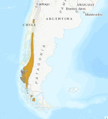 Distribución del huemul - UICN