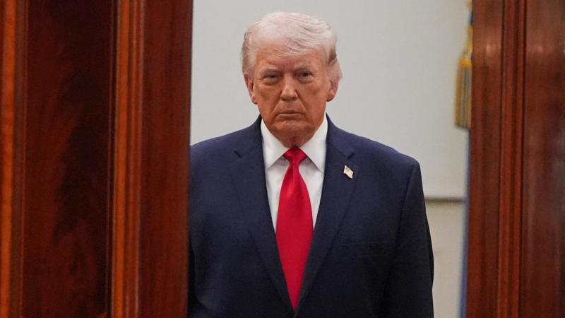 Trump busca retirar la protección de especies en peligro de extinción al lobo gris y al lobo mexicano en EE.UU. - AFP