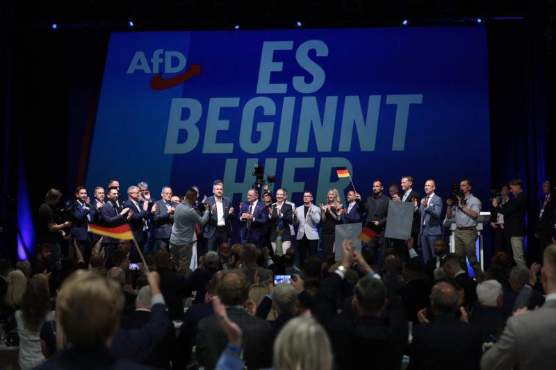 Qué propone AfD, el partido político alemán de extrema derecha - AFP