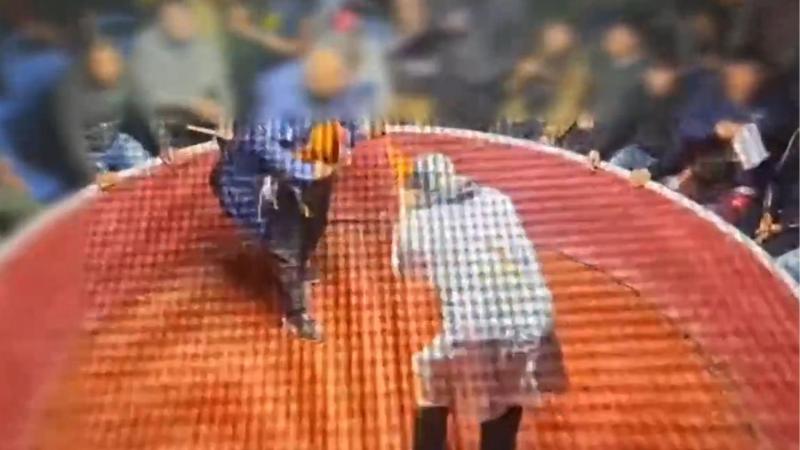 T13 - Así operaba el ruedo de peleas clandestinas de gallos en Arauco