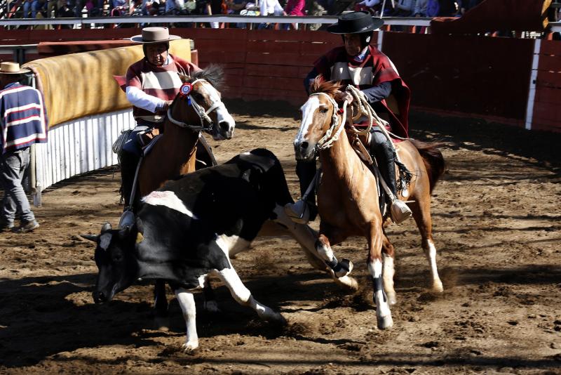 Rodeo - Archivo AUNO
