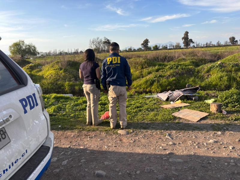 Bridesma investiga faenamiento de cachorro en La Pintana - PDI