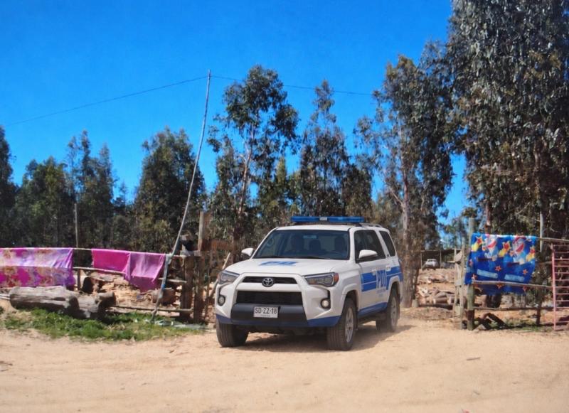 PDI - Galgos desnutridos y cerdos hacinados: PDI desbarata matadero clandestino en Placilla