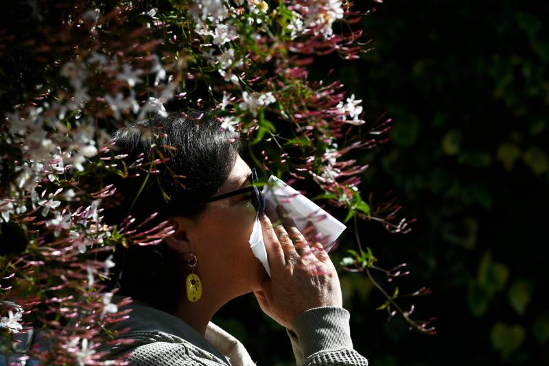 ¿Estás con alergia? Así puedes revisar los niveles de polen en el aire