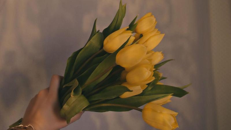 Pexels - ramo de flores amarillas