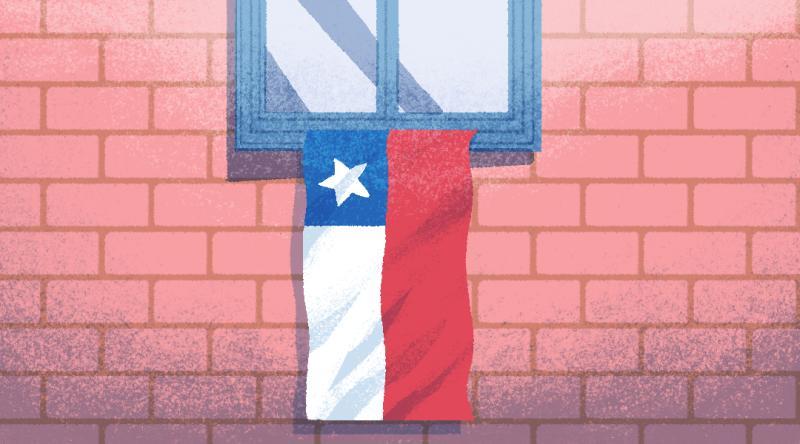 Gobierno de Chile - Bandera chilena