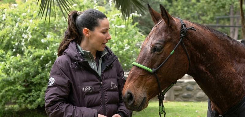 Chile tendrá su primer clon equino: Capacidad 01 está a días de nacer