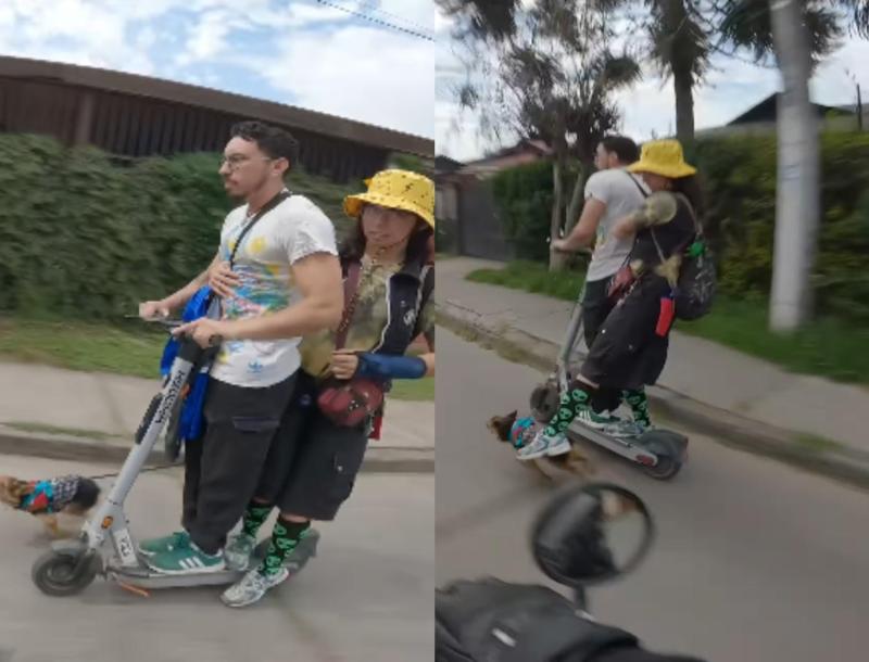 Critican a hermanos por llevar a su perro corriendo junto a un scooter en La Florida: ¿Qué dice la normativa sobre el traslado de mascotas?