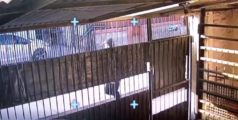 T13 - Atentado contra 'El Poroto'