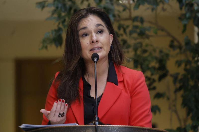 Exsubsecretaria de RR.EE. cuestiona vínculo de Zaliasnik con Hermosilla - Aton