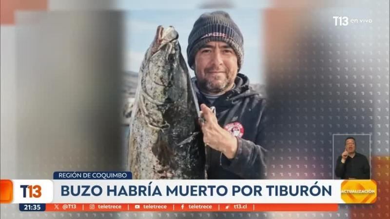 Aletas con posibles mordeduras de tiburón: la hipótesis que surge por desaparición del buzo Carlos Aquea