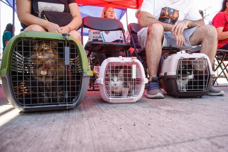 Agencia Uno- Tenencia responsable de animales