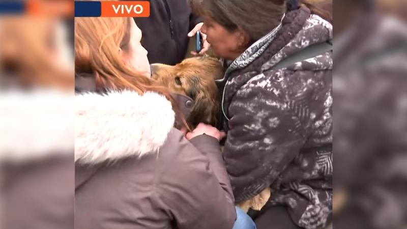 Teletrece Tarde - "Morocho"