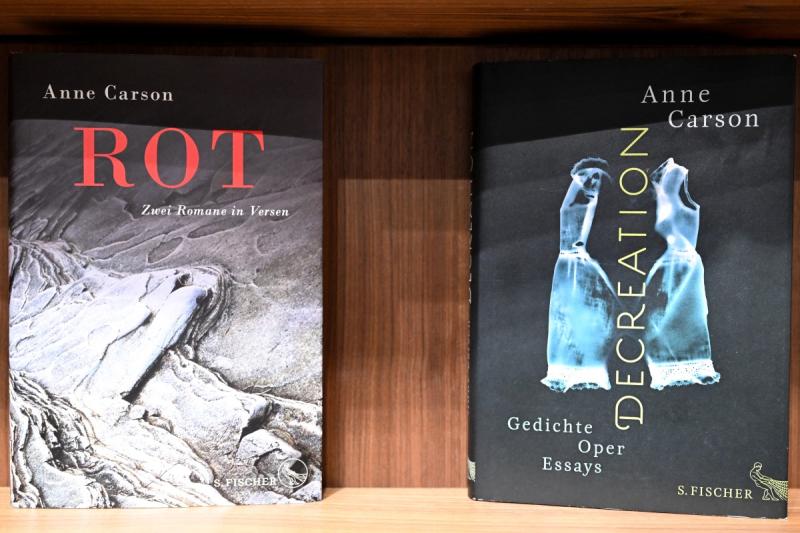 AFP - Obra de Anne Carson
