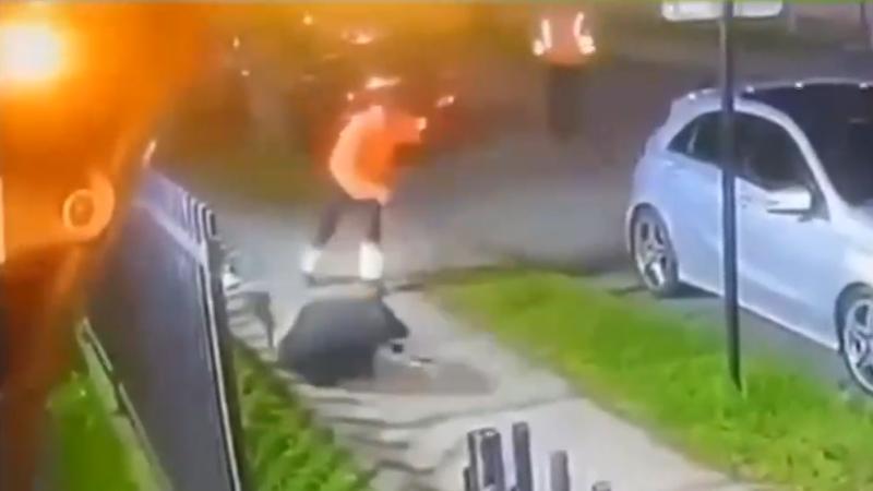 Teletrece Tarde - Recolectores de basura persiguen y golpean a dos sujetos en Temuco