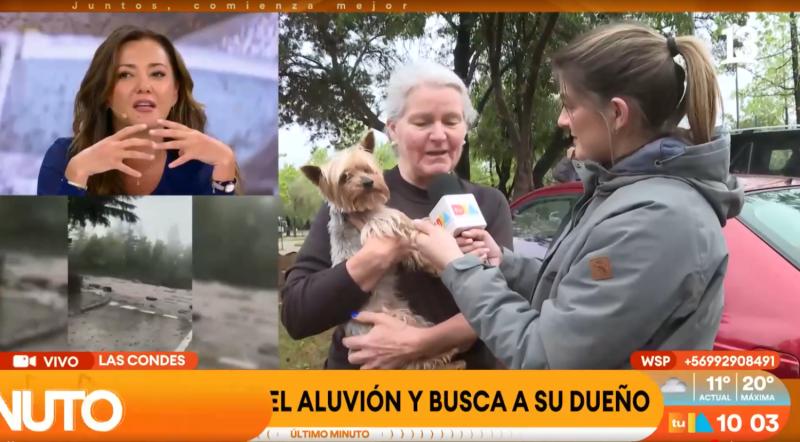Canal 13 - Perrito fue encontrado en una mochila en medio del aluvión
