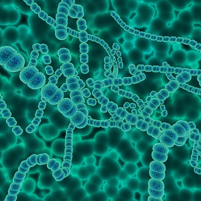 Freepik - Helicobacter pylori