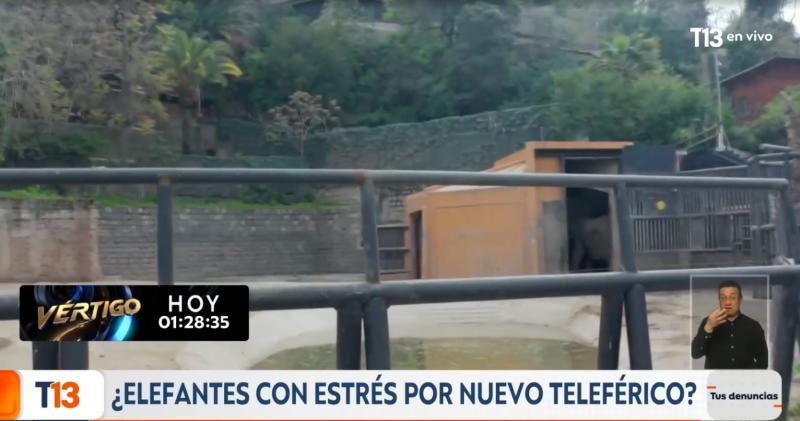T13 - Teleférico pasa sobre elefantes