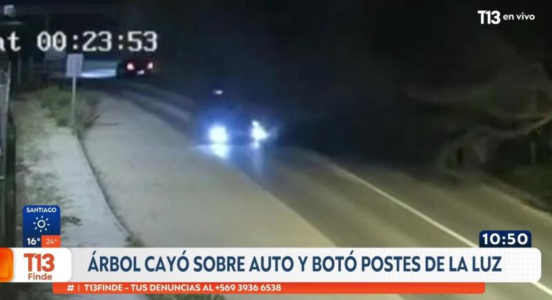 T13 - Árbol cayó sobre taxi con pasajeros