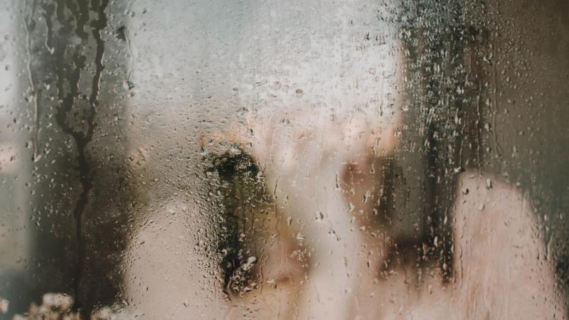 Pexels - Ansiedad climática