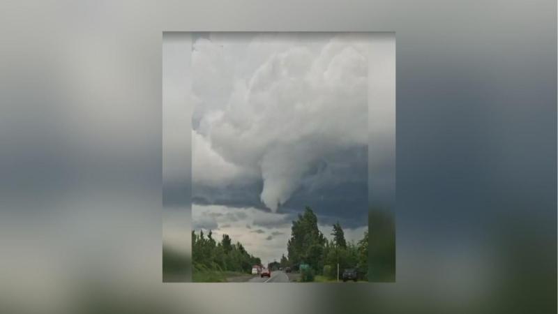 T13 - Nube tornádica provoca daños en viviendas y caída de árboles en la región del Maule