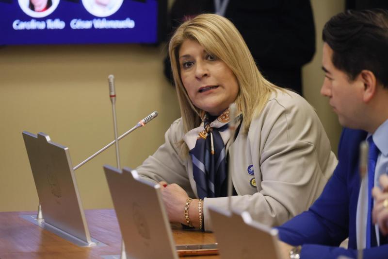 Aton- Diputada Parisi dijo tener el "animo" de que se llame a un plebiscito