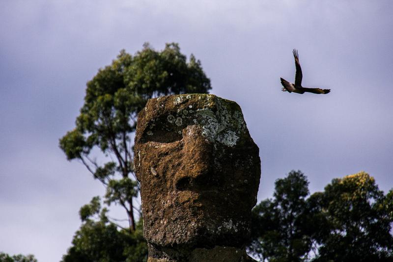 Agencia Uno (referencial) - Rapa Nui