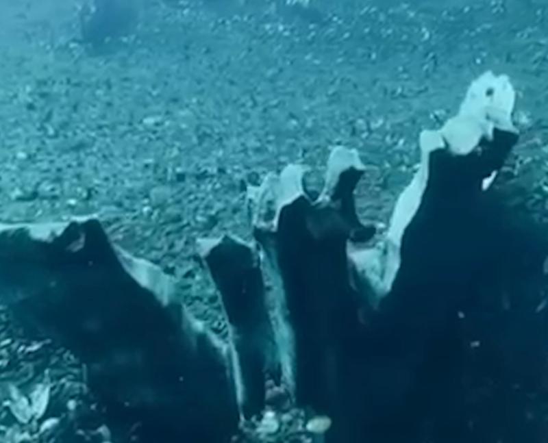 Puerto Varas Diving - Lago Llanquihue