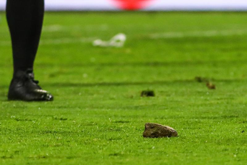 Una de las piedras que cayó al campo de los cruzados (Agencia Uno)