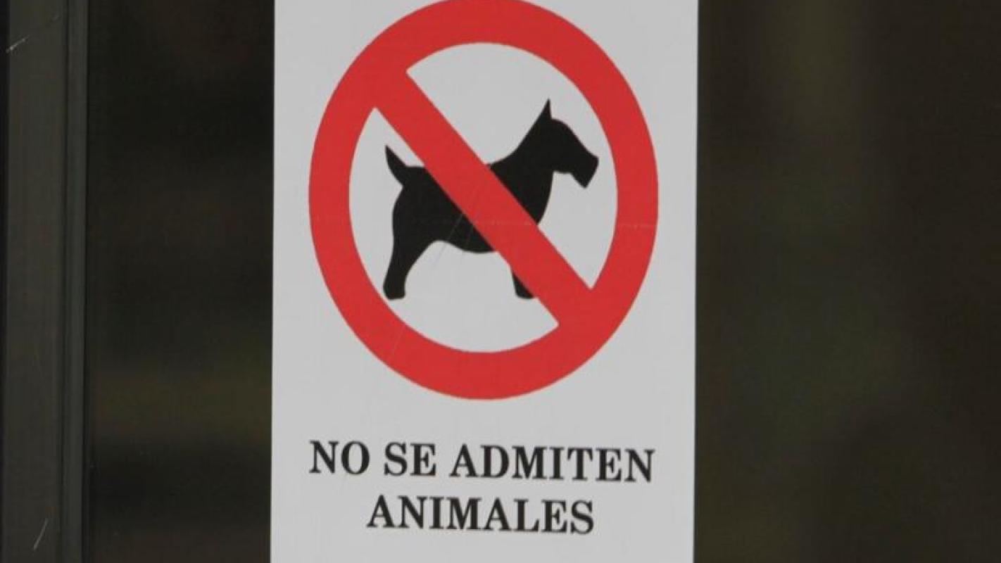 se permiten perros en los condominios
