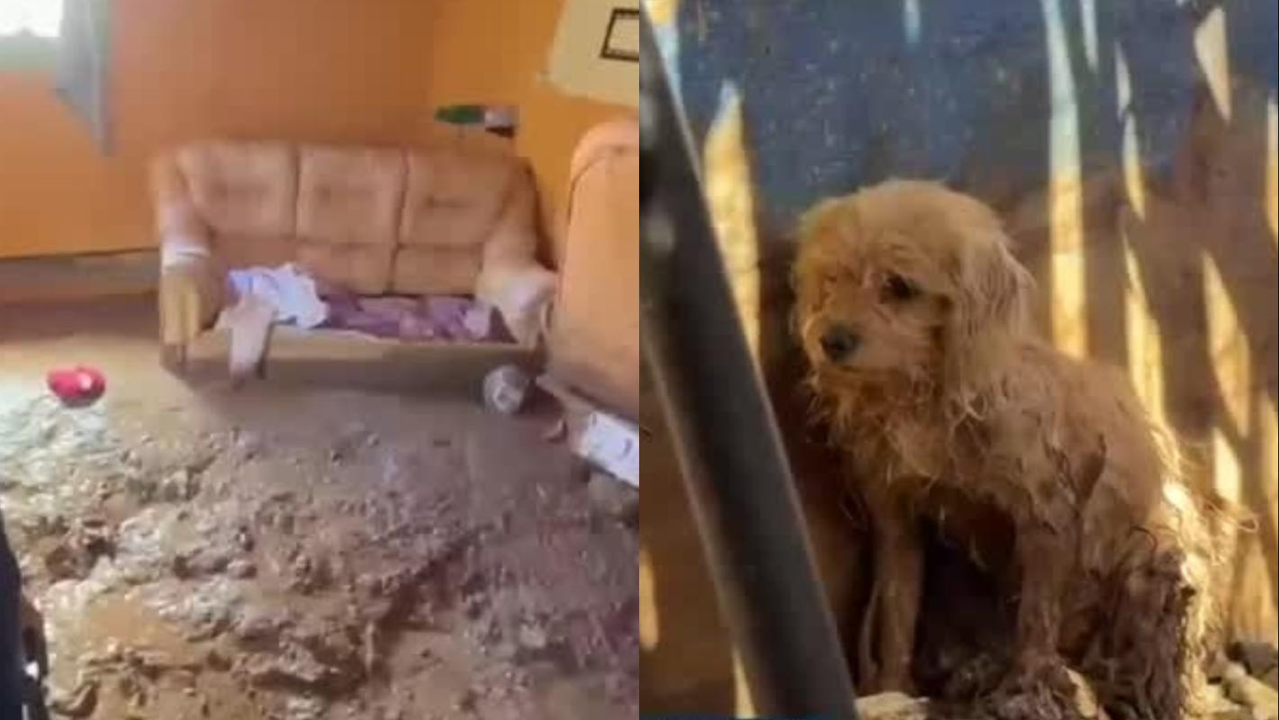 Aluviones en Tocopilla provocan evacuaciones masivas y traslado de reos por riesgo de quebradas