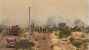 Incendios forestales fuera de control afectan viviendas y bosques en la zona central de Chile