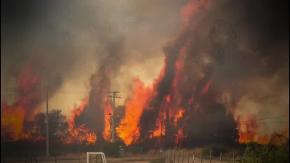 Incendios forestales arrasan con hectáreas y viviendas en la zona central de Chile