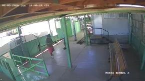 Ladrones ingresan cinco veces a liceo de Valparaíso para robar cañerías