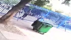 Barrio Meiggs: Fiscalización por comercio ilegal desata incidentes y barricadas