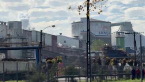Mercado de azúcar: Iansa no comprará remolacha local