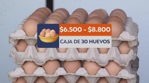 Precio de los huevos se dispara: suben casi 30% y podrían seguir al alza