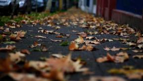 Siete signos de que llegó el otoño Siete signos de que llegó el otoño