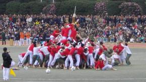 El Botaoshi, el extraño deporte que parece una guerra El Botaoshi, el extraño deporte que parece una guerra