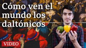 [VIDEO] Cómo ven los daltónicos y cómo es vivir sin percibir bien los colores