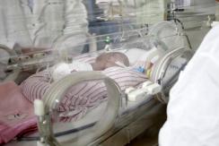 Recién nacido recibe trasplante de hígado de su propia madre: es un hecho inédito en Chile Recién nacido recibe trasplante de hígado de su propia madre: es un hecho inédito en Chile