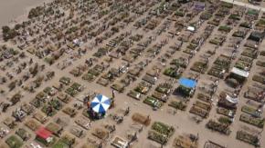 [VIDEO] México próximo epicentro mundial de la pandemia: cifras real de fallecidos similar a Brasil