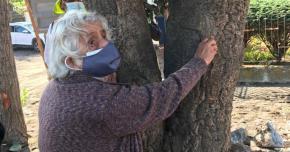 Vecina de 90 años busca impedir la tala de un árbol en barrio de Talcahuano Vecina de 90 años busca impedir la tala de un árbol en barrio de Talcahuano
