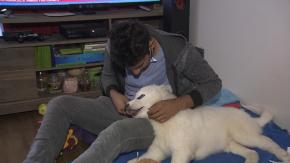 [VIDEO] Denuncian maltrato contra cachorro de 4 meses: dueño dice que fue atropellado