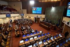 "Transformarán a médicos en verdugos": Las frases que marcaron debate de eutanasia en la Cámara "Transformarán a médicos en verdugos": Las frases que marcaron debate de eutanasia en la Cámara